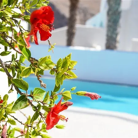 Hotel Kouros Village - Adults Only 4*